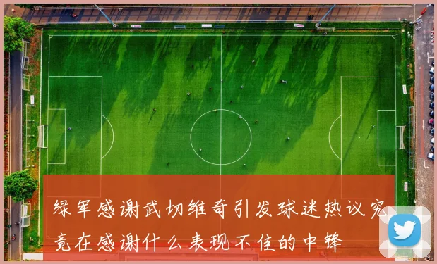 绿军感谢武切维奇引发球迷热议究竟在感谢什么表现不佳的中锋