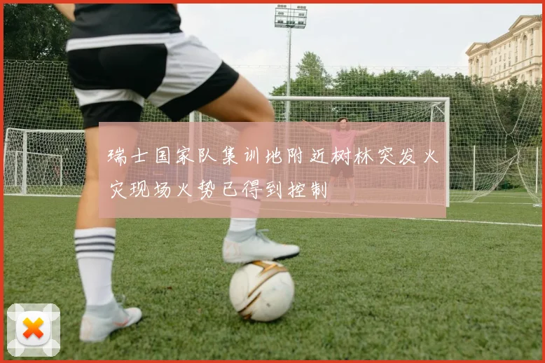 瑞士国家队集训地附近树林突发火灾现场火势已得到控制