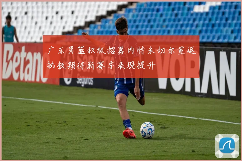 广东男篮积极招募内特米切尔重返执教期待新赛季表现提升